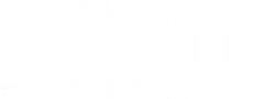 Sant Valves logo