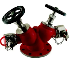 Aaag Double Outlet Landing Valve, Stainless Steel, IS 5290 Type B (AAAG 101S)