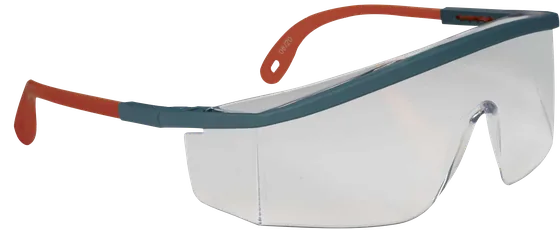 Delta Plus KILIMANDJARO Safety Glasses