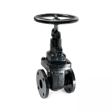 Sant Valves CR-32 Cast Iron Sluice Valve, IS 14846, PN 10, Non Rising Stem