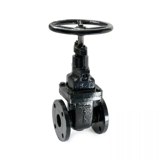 Sant Valves CR-32 Cast Iron Sluice Valve, IS 14846, PN 10, Non Rising Stem