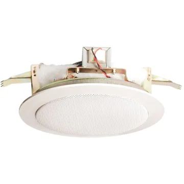 Ravel PA Ceiling Speaker, 10 W