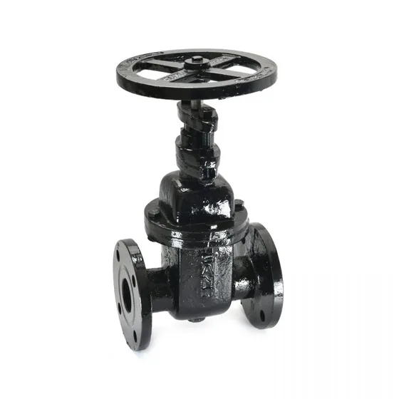 Sant Valves CR-19 Cast Iron Sluice Valve, IS 780 Dimensions, PN 10