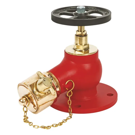 New Age Turn Down Landing Valve, Gunmetal, 63 mm, Flanged