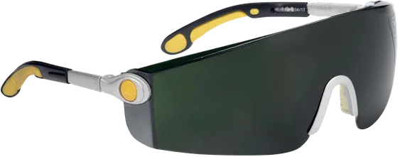 Delta Plus LIPARI2 T5 Safety Glasses, Shade 5 Welding Lens