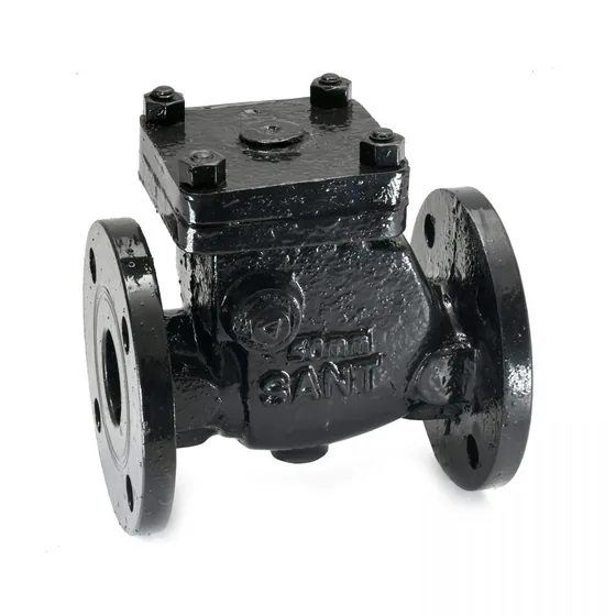 Sant Valves CR-31A Cast Iron Reflux Valve, Swing Check, IS 5312, PN16