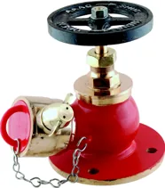 Aaag Oblique Landing Valve to BS 5041-1 (AAAG 1040)
