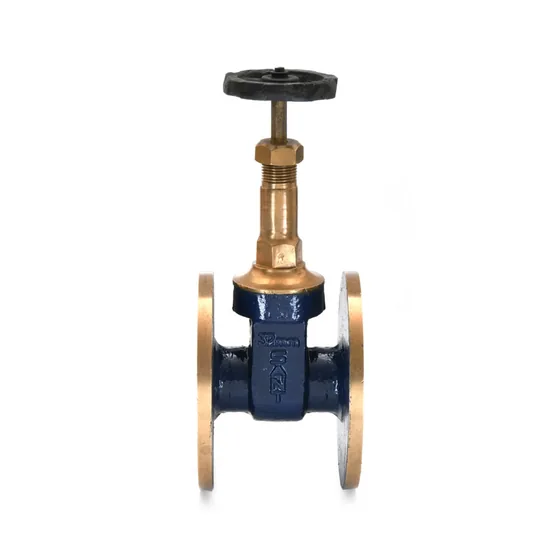 Sant Valves IS-4 Bronze Gate Valve, Rising Stem, IS 778 Class 1, Flanged