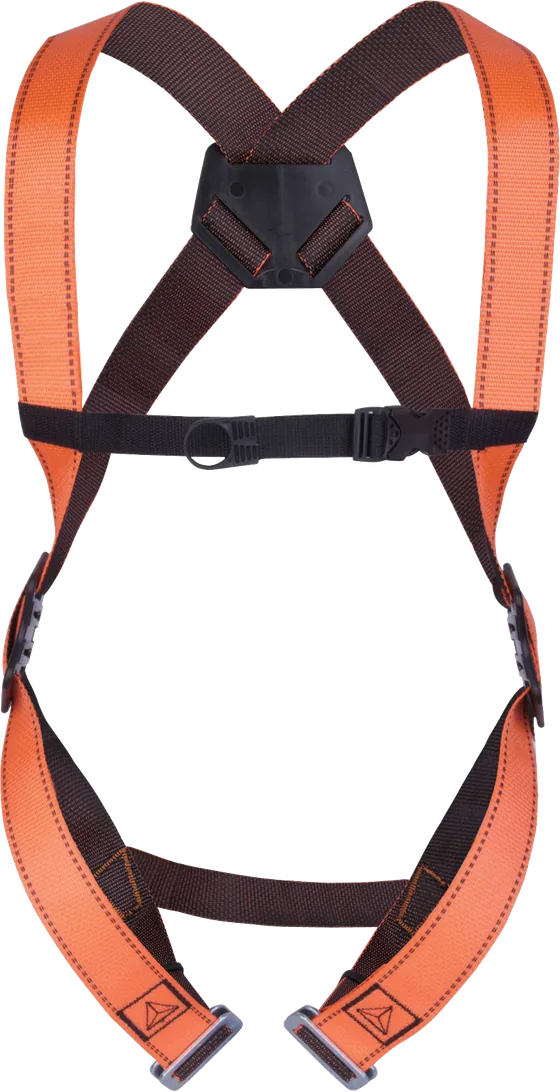 Delta Plus HAR11 Full Body Harness, 1 Dorsal Attachment Point