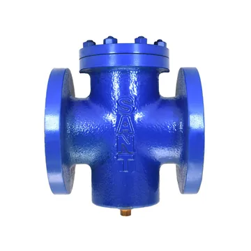Sant Valves CI-19 Cast Iron T Strainer, Flanged