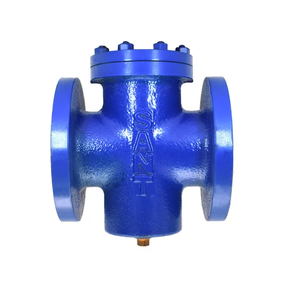 Sant Valves CI-19 Cast Iron T Strainer, Flanged
