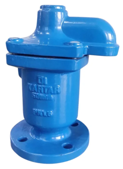 Kartar Valves DI Single Chamber Triple Action Air Valve, Double Orifice, PN 1.6 (K549)