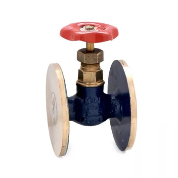 Sant Valves IS-10 Bronze Globe Valve, IS 778 Class 1, Flanged