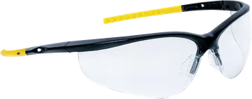 Delta Plus IRAYA Safety Glasses