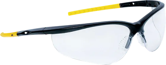 Delta Plus IRAYA Safety Glasses