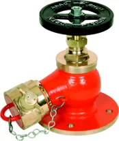 Aaag Downward Landing Valve (AAAG 107)