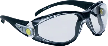 Delta Plus PACAYA LYVIZ Safety Glasses