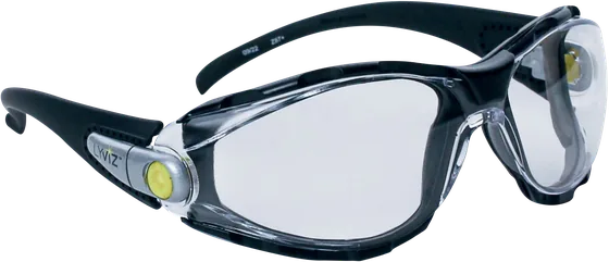 Delta Plus PACAYA LYVIZ Safety Glasses