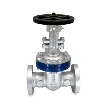 Sant Valves CS-7B Cast Steel Gate Valve, Class 600, Flanged
