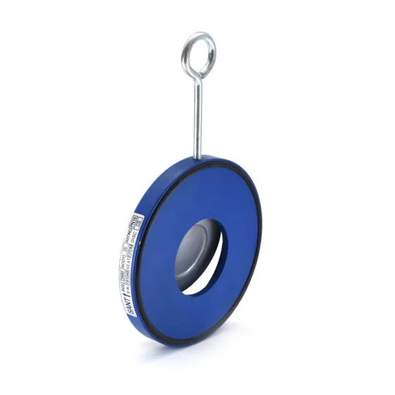 Sant Valves SP Single Plate Wafer Check Valve, Ductile Iron, PN-16