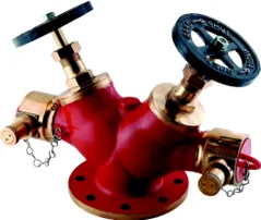 Aaag Double Outlet Landing Valve, Gunmetal (AAAG 101)