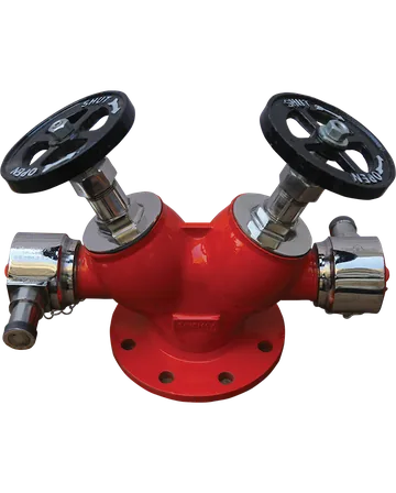 Savemax Double Head Landing Valve, Stainless Steel