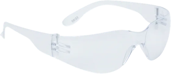Delta Plus BRAVA2 Safety Glasses