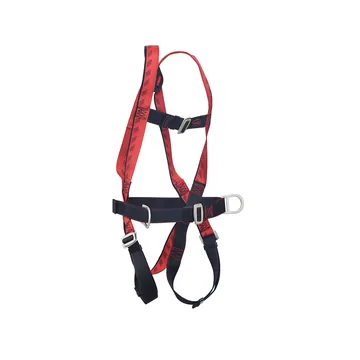 Karam PN17 Class P Positioning Harness