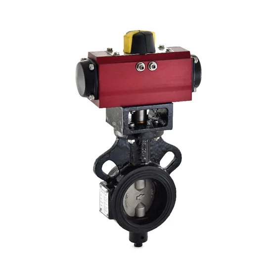 Zoloto Wafer Butterfly Valve, PN 1.0, Pneumatic Actuator (1078D)