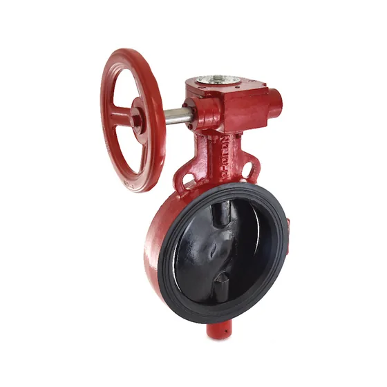 Zoloto Wafer Butterfly Valve, PN 2.5, SG Iron Disc, Gear Operated (1078H)