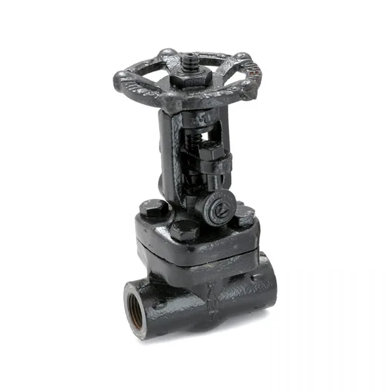 Sant Valves FSV-5B Forged Steel Wedge Gate Valve, Class 800, Socket Weld