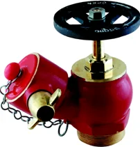 Aaag Oblique Landing Valve, Female BSP Threaded Inlet (AAAG 109)