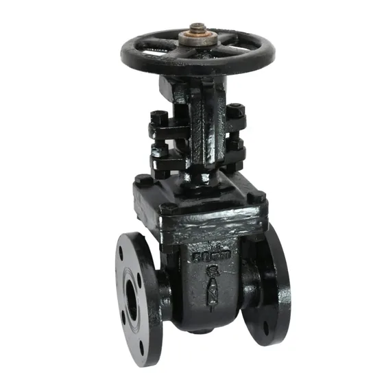 Sant Valves CR-19B Cast Iron Sluice Valve, PN 16, OS&Y Rising Stem