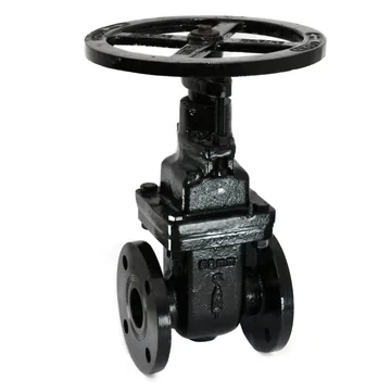 Sant Valves CR-19A Cast Iron Sluice Valve, Non Rising Stem