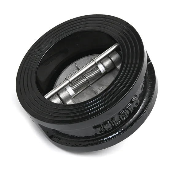 Zoloto Cast Iron Dual Plate Wafer Check Valve, PN 16 (1082)
