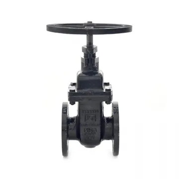 Sant Valves CR-32B Cast Iron Sluice Valve, IS 14846, PN 16, Non Rising Stem