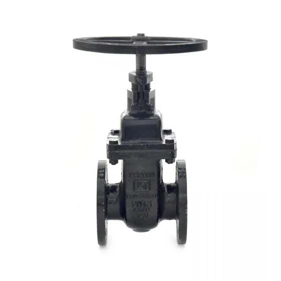 Sant Valves CR-32B Cast Iron Sluice Valve, IS 14846, PN 16, Non Rising Stem