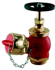 Aaag Oblique Landing Valve, Male BSP Threaded Inlet, BS 336 (AAAG 108)