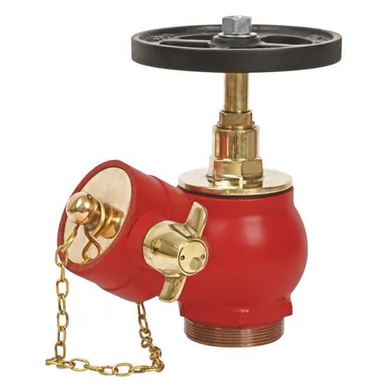 New Age Oblique Landing Valve, Threaded, FM Approved