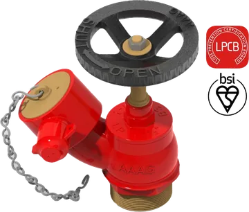 Aaag Wet Riser Landing Valve G108, BS 5041-1, Bronze, Male Threaded Inlet