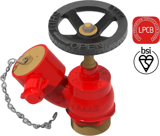 Aaag Wet Riser Landing Valve G108, BS 5041-1, Bronze, Male Threaded Inlet