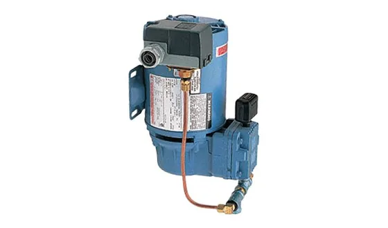 Tyco Model G16AC812 Automatic Supervisory Air Supply, 10 psi (TFP1620)