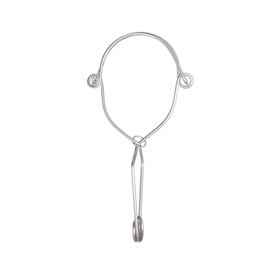 Karam Stainless Steel Anchorage Hook