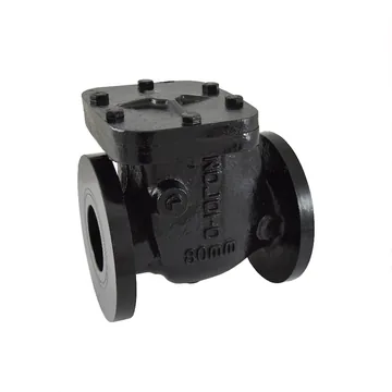Zoloto Cast Iron Swing Non Return Valve, PN 1.0, Flanged (1083)