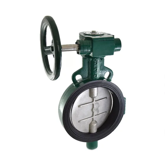 Zoloto Wafer Butterfly Valve, PN 1.6, SS 304 Disc, Gear Operated (1078C)