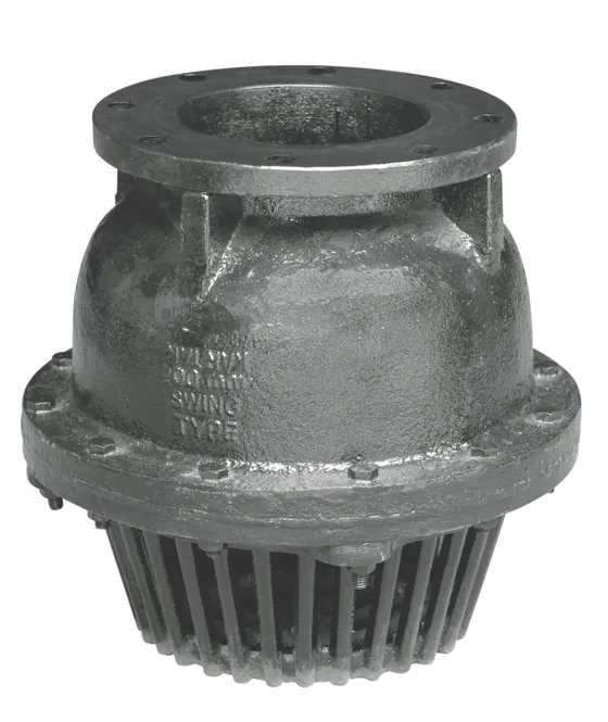 Kartar Valves Double Door Foot Valve, Cast Iron, IS 4038 (K519)