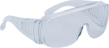 Delta Plus PITON CLEAR Safety Glasses