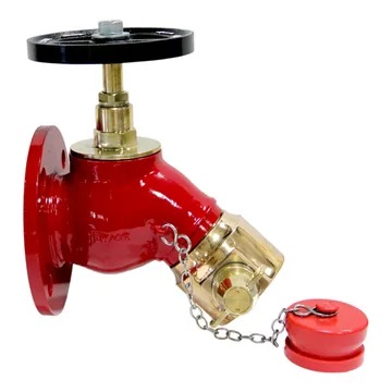 New Age Bib Nose Landing Valve, Flanged, FM Approved