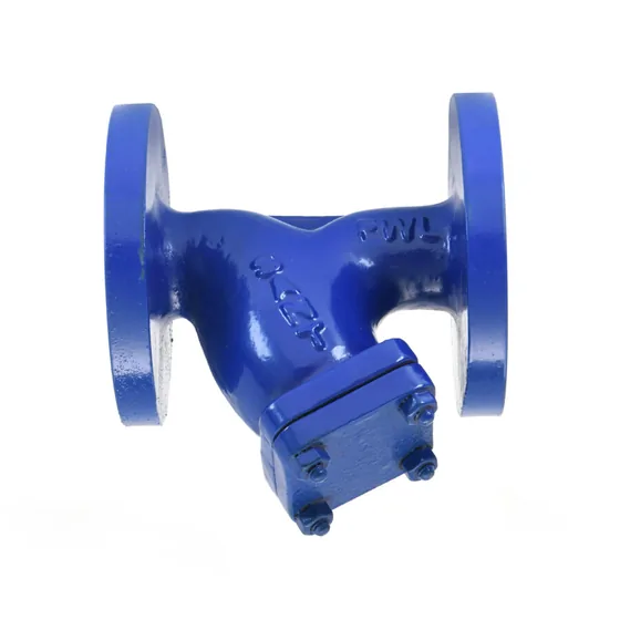 Sant Valves CI-16B Cast Iron Y-Type Strainer, Flanged, PN16