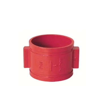 Sant Valves DH87X Double Door Check Valve, Grooved